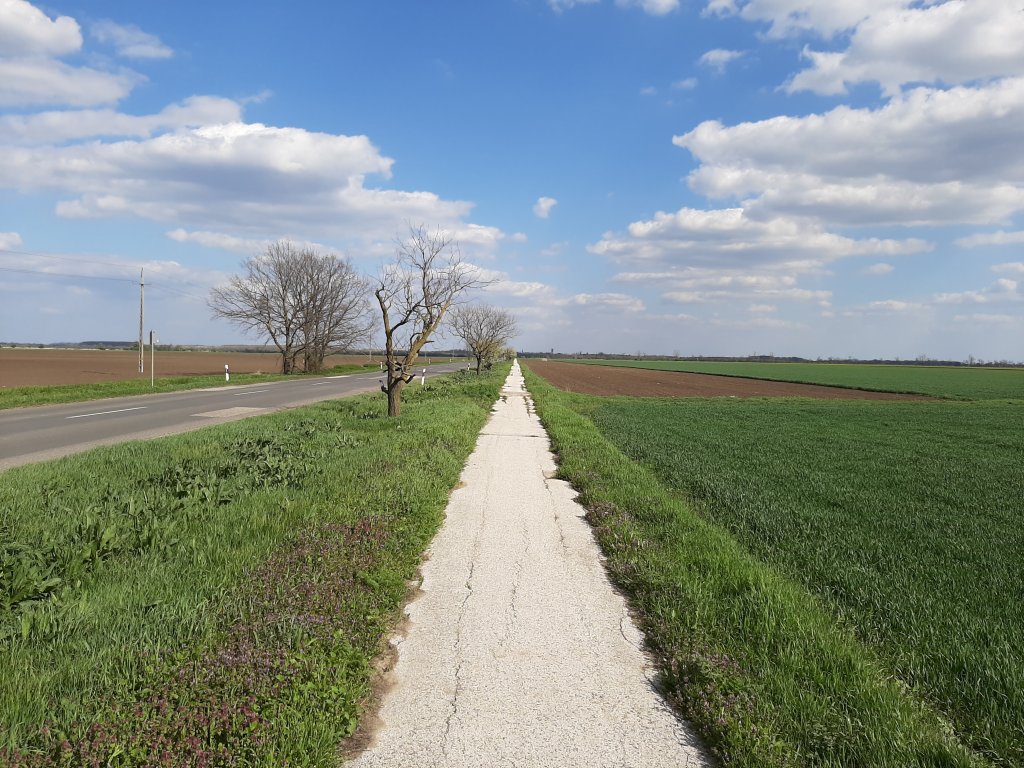 Kerékpárút gyomirtás