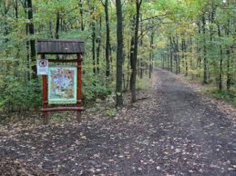 Széchenyi Park Forest and Ecotourism Center, Owlery Wildlife Park (Bagolyvár Vadaspark)
