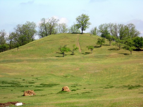 Hill Forts